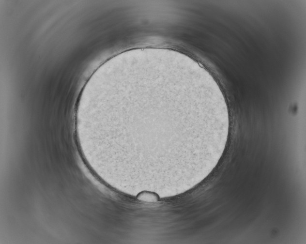 X0000115551479200912181541