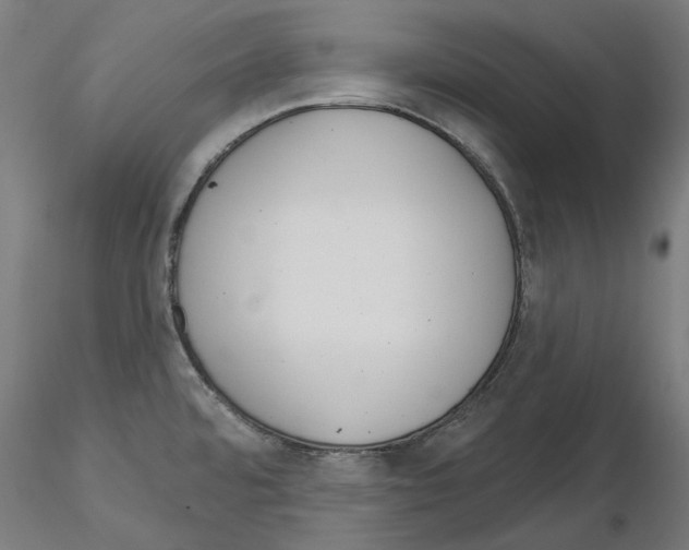 X0000115551480200912181541