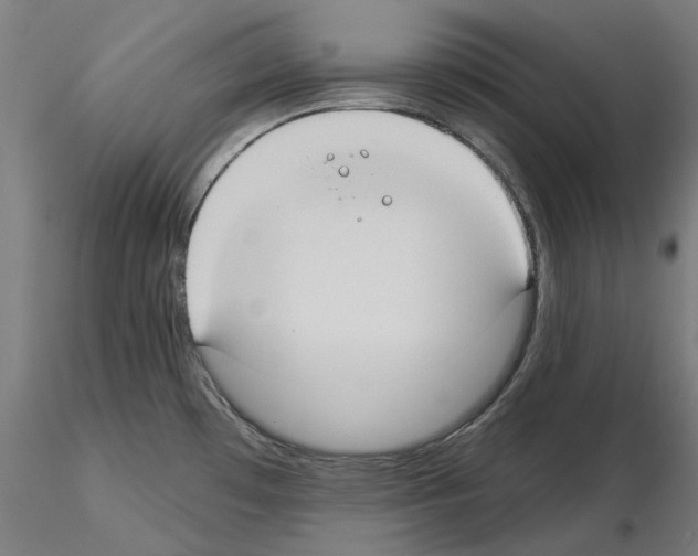 X0000115551481200912181541