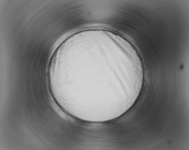 X0000115551482200912181541