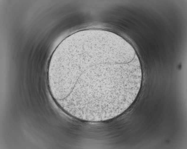 X0000115551483200912181541