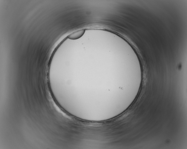 X0000115551484200912181541