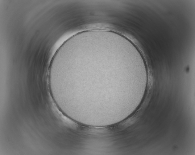 X0000115551486200912181541