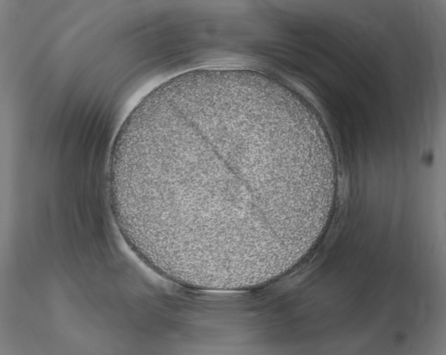 X0000115551487200912181541