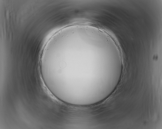 X0000115551488200912181541