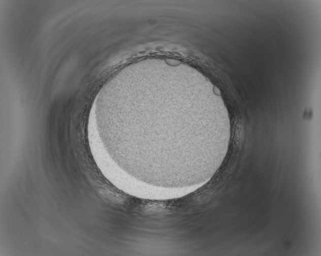 X0000115551489200912181540