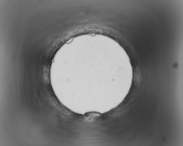 X0000115551490200912181540