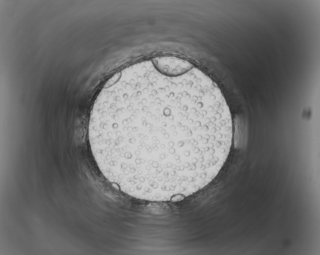 X0000115551491200912181540