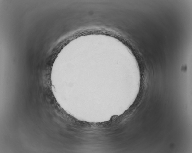 X0000115551494200912181540