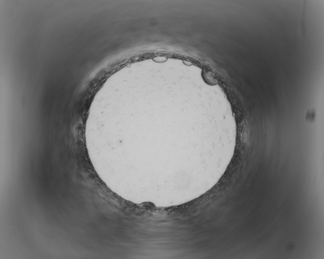 X0000115551495200912181540