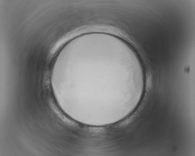 X0000115551498200912181540