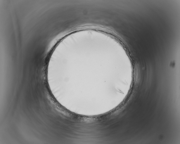 X0000115551501200912181540