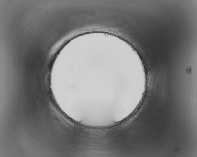 X0000115551502200912181541