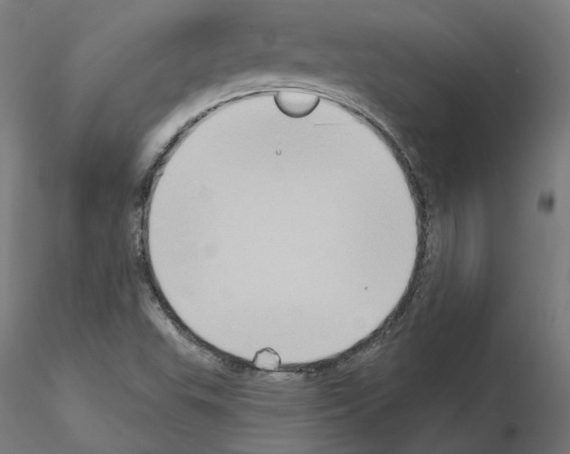 X0000115551503200912181541