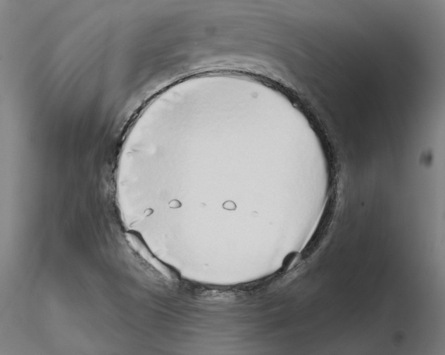 X0000115551505200912181541