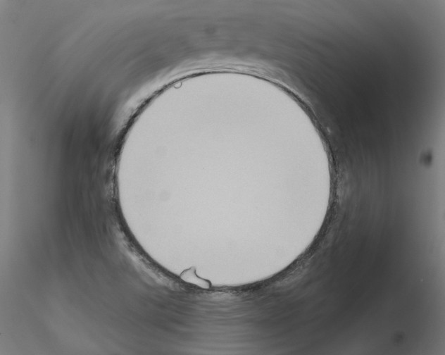 X0000115551507200912181541