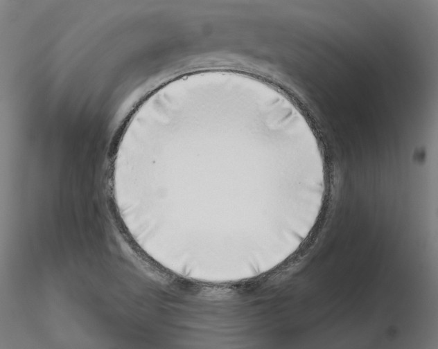 X0000115551509200912181541