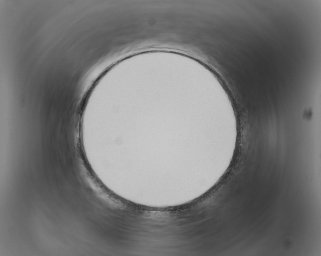 X0000115551511200912181541