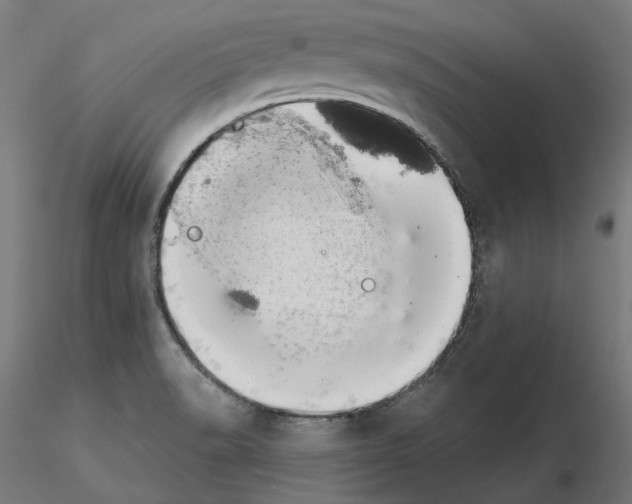 X0000115551518200912181541