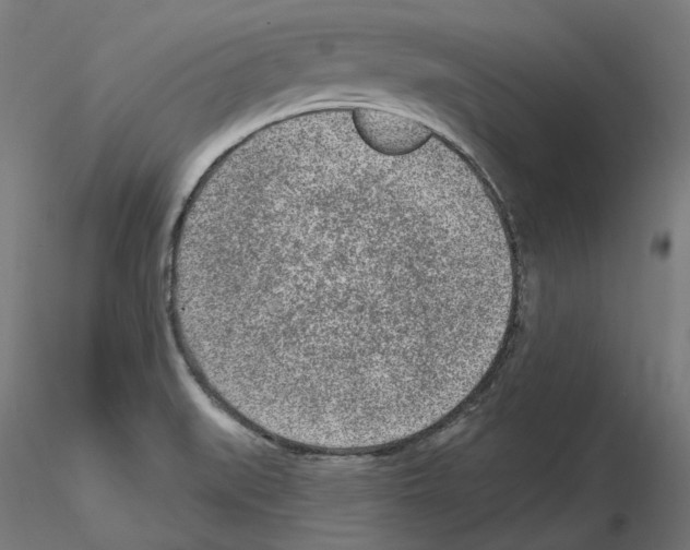 X0000115551519200912181541