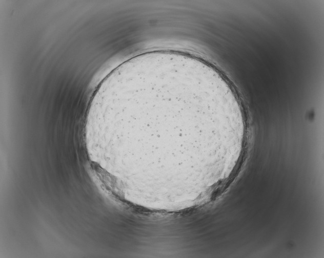 X0000115551521200912181541