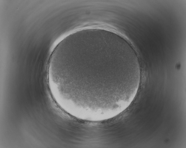 X0000115551522200912181541