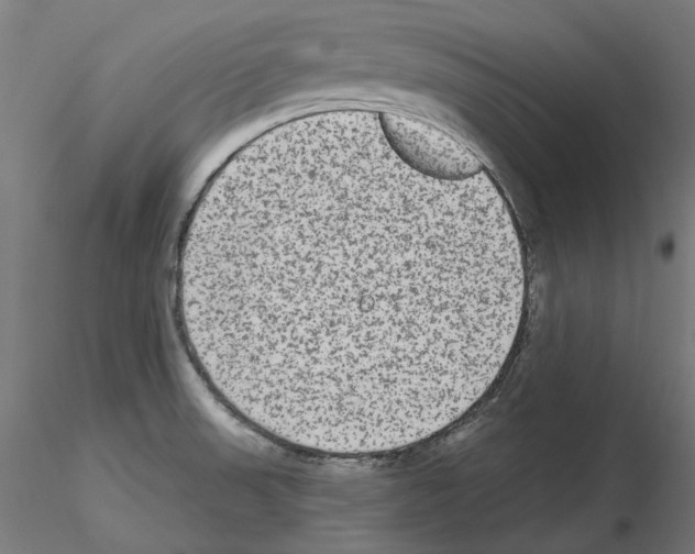 X0000115551523200912181541