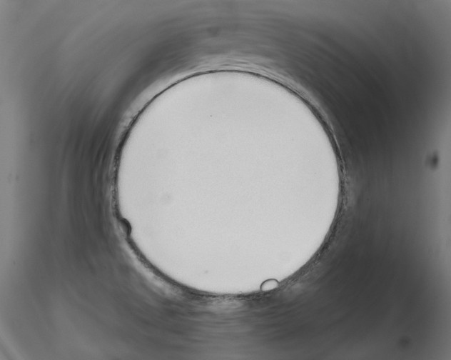 X0000115551525200912181541