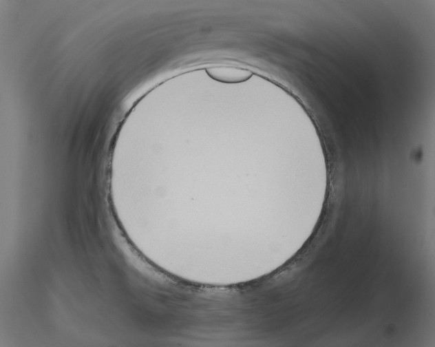 X0000115551526200912181541