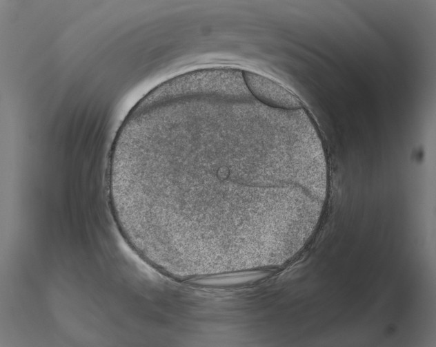 X0000115551527200912181541