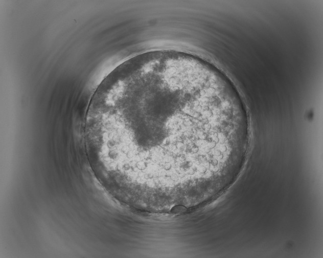 X0000115551529200912181541