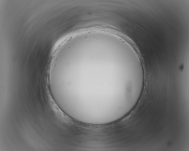 X0000115551530200912181541