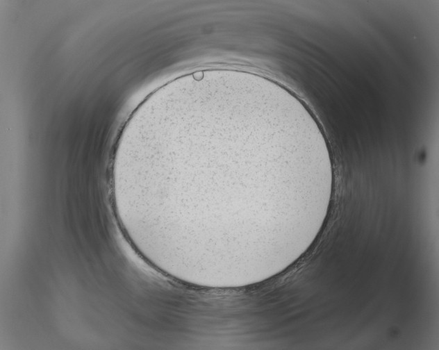 X0000115551531200912181541