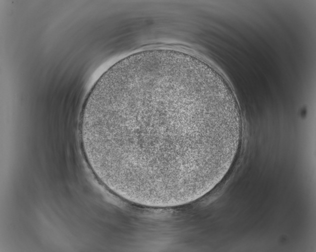 X0000115551533200912181541