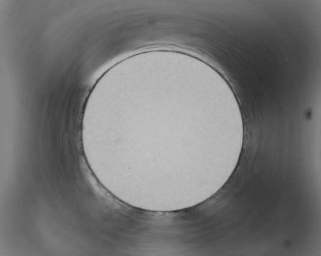 X0000115551534200912181541