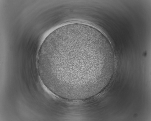 X0000115551535200912181541