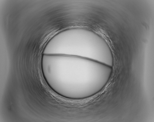 X0000115560001200911061157
