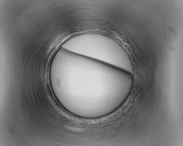X0000115560002200911061157