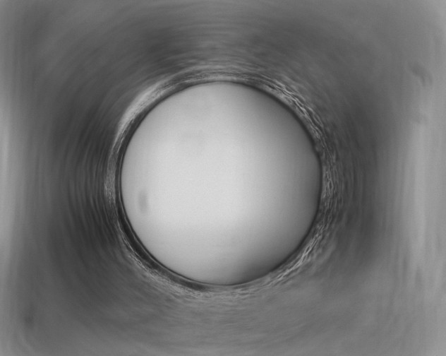 X0000115560004200911061157