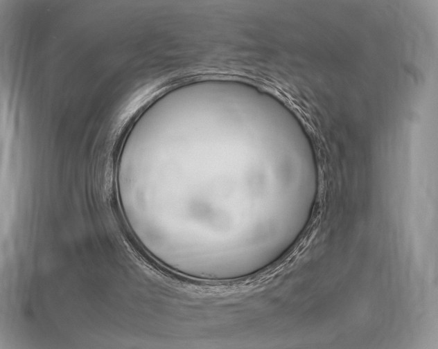 X0000115560005200911061157