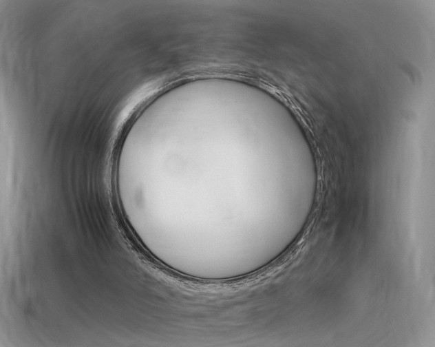 X0000115560006200911061157