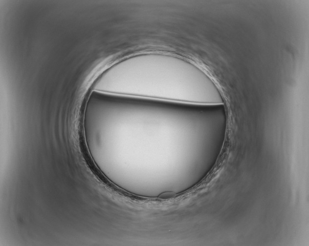 X0000115560007200911061157
