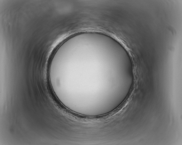 X0000115560008200911061157