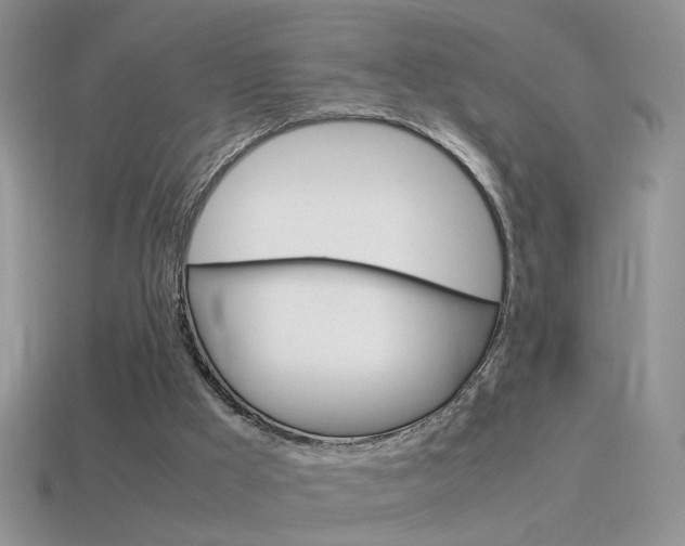 X0000115560009200911061157