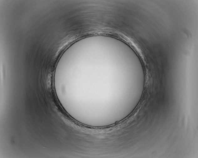 X0000115560010200911061157