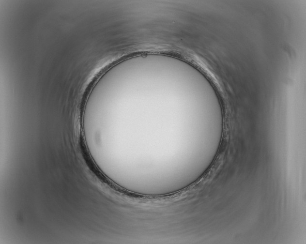 X0000115560011200911061157