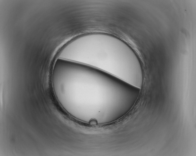 X0000115560012200911061157