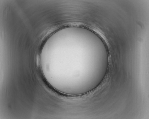 X0000115560013200911061157