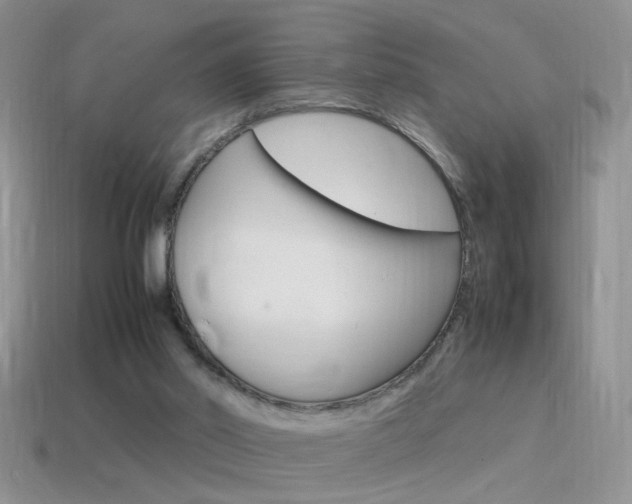 X0000115560014200911061157
