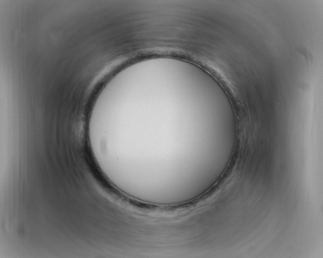 X0000115560016200911061157
